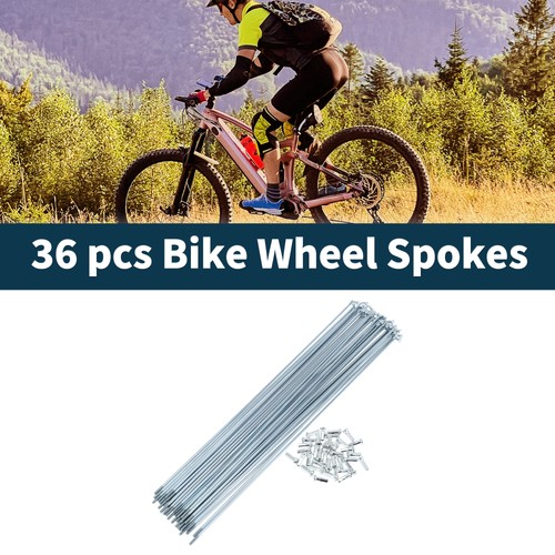 Raggi bici argento argilla - argento,