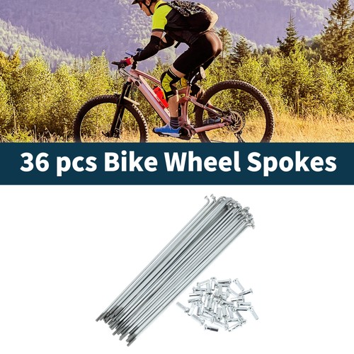 Raggi bici argento - raggi,