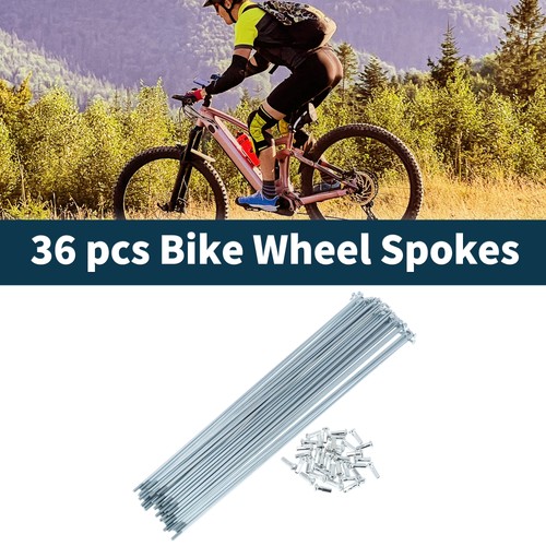 Raggi bici argento argilla - raggi,
